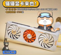 七彩虹 RTX4060Ti 橘影橙实测猫猫独显来也