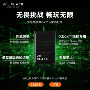 西部数据 C50 Xbox 移动固态硬盘扩展卡 1TB只卖1