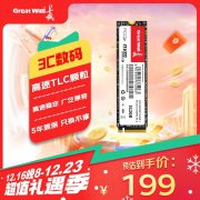 长城 GW3300固态硬盘512GB 限时特价只卖189元