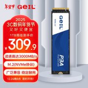 金邦 P3A系列固态硬盘限时秒杀只要288元 抢购只剩