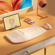 B.O.W K308DL键盘京东限时特价拿到手只要178元