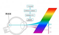企业办公显示屏怎么选择？看准以下几点肯定没