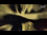 三国群英传:霸王之业