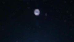 轴音旋律