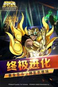 圣斗士星矢：小宇宙幻想传