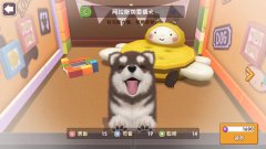 小汪汪