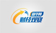 新华网财经观察丨当养老机器人来敲门
