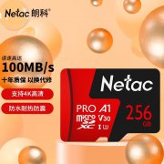 朗科 P500 至尊PRO版256GB存储卡京东限时特价到手只