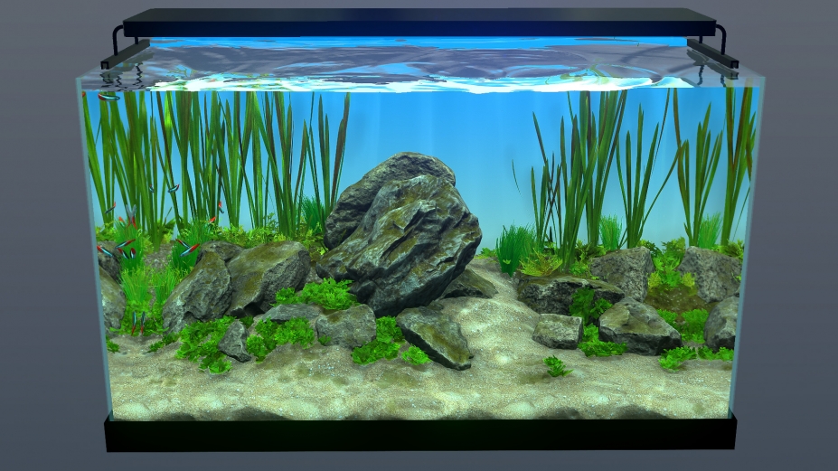 《玻璃背后:水族箱模拟器》游戏截图