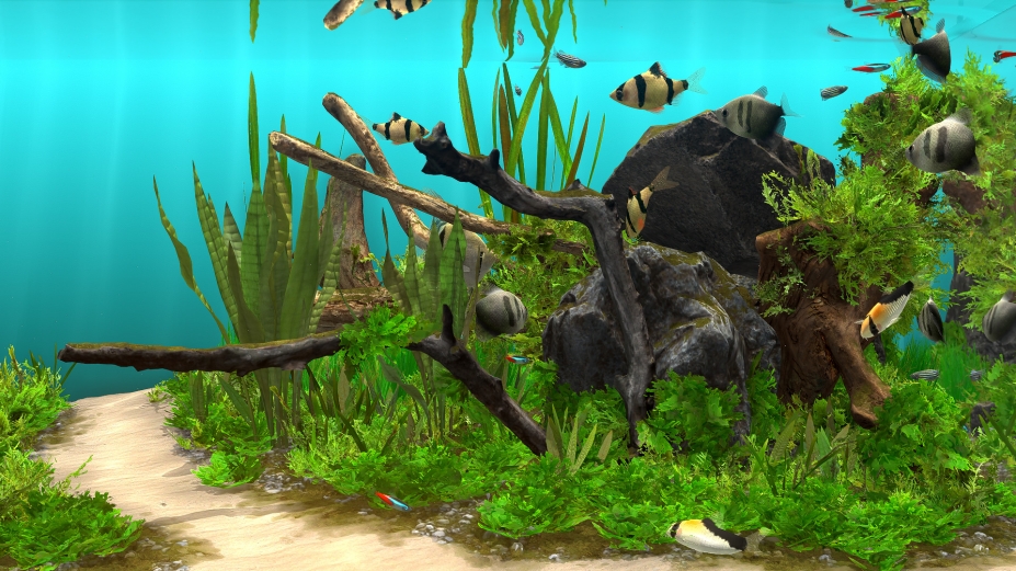 《玻璃背后:水族箱模拟器》游戏截图