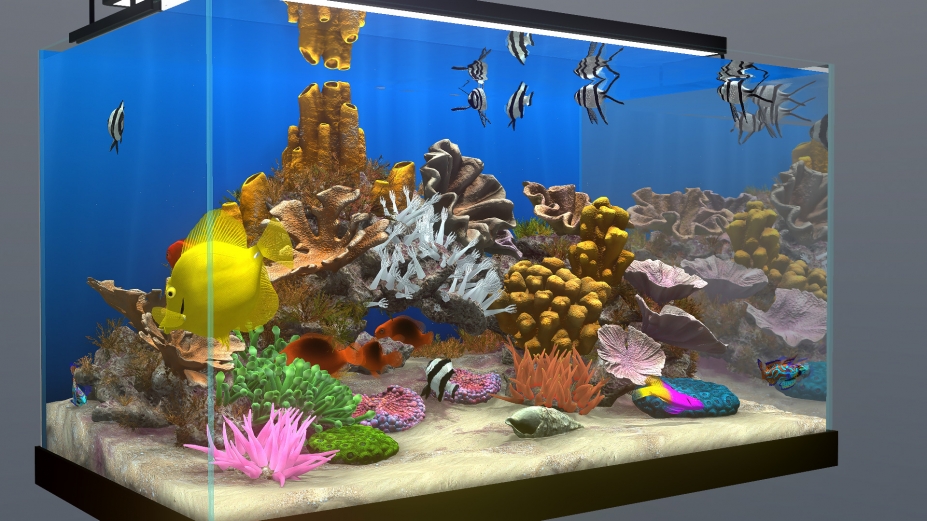 《玻璃背后:水族箱模拟器》游戏截图