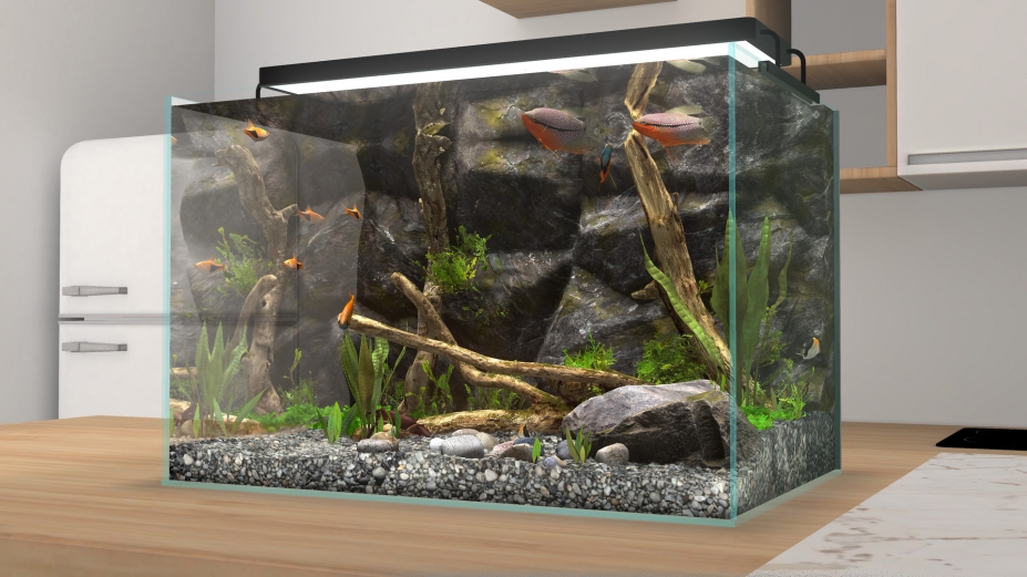 《玻璃背后:水族箱模拟器》游戏截图