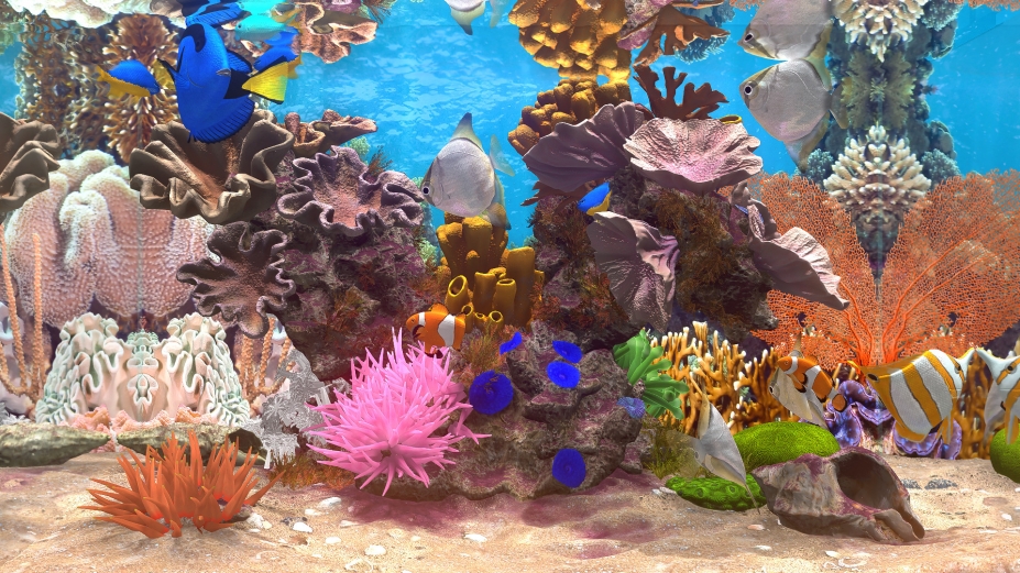 《玻璃背后:水族箱模拟器》游戏截图