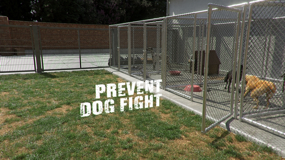 《动物收容所》游戏截图