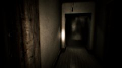 维斯尼特磁带 免安装绿色中文版