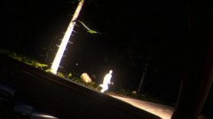 恐惧之路 免安装绿色版