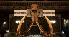 恐龙烈战2 免安装绿色中文版