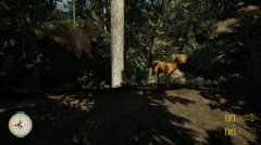 幽径清道夫：风暴余波 免安装绿色版