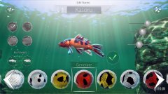 我的锦鲤 免安装绿色中文版