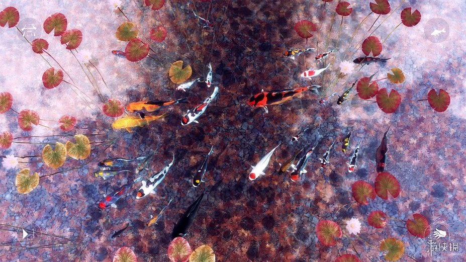 《我的锦鲤》游戏截图