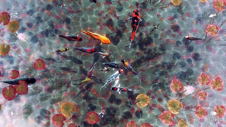 《我的锦鲤》游戏截图