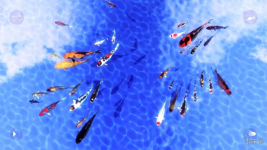 《我的锦鲤》游戏截图
