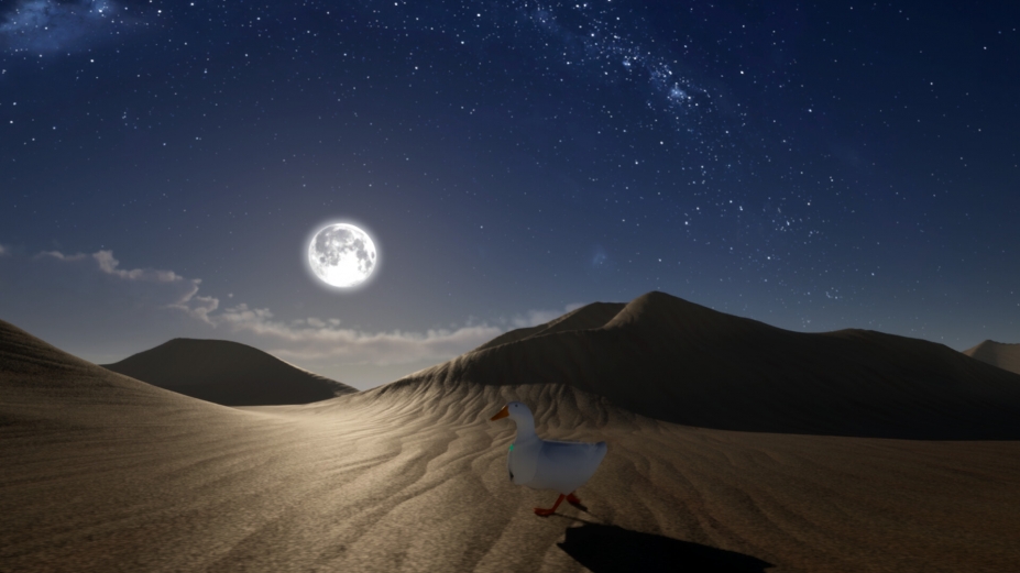 《鸭子:好奇心》游戏截图