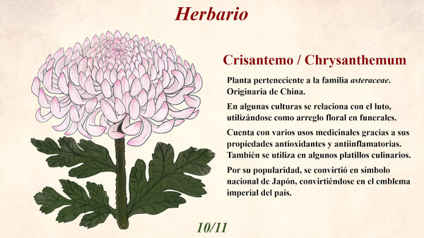 《Blumenia-植物世界的故事》游戏截图