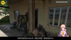 灰色战区
