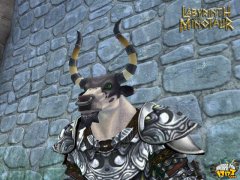 卡米洛的黑暗时代