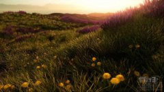 独行侠：试验场