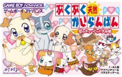 咕嘟咕嘟天然传阅板