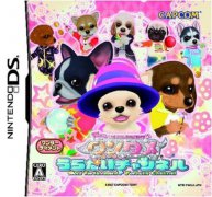 偶像小狗占卜频道