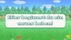 一起来吧！动物之森