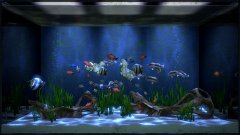 Aqua TV