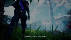 铃兰计划