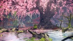 狂野之心
