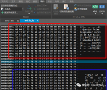 如何将程序写到flash中？