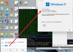 可不可以同时在Windows和Linux上做FPGA开发呢？