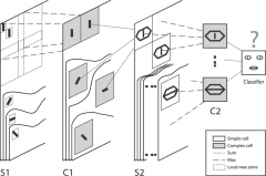 基于FPGA集群的NEST仿真器设计