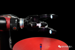 一个触觉传感器Digit=感受细胞+末梢神经+神经传输