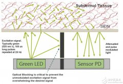 设计与实现一个光学心率监测（HRM）系统