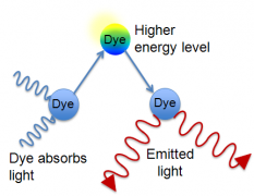 光学氧传感器的工作原理和荧光氧传感器LOX-02概