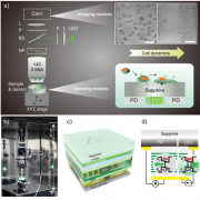 基于GaN光学芯片的生物显微传感系统