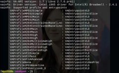 AV1硬件解码将在Intel处理器上实现
