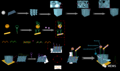应用于血液中凝血酶精准检测的高灵敏度传感器