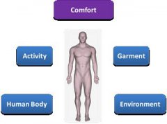 一个快速的服装模拟系统