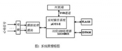 采用ARM处理器的心电信号进行实时的处理和传输