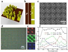 基于超构表面的像素级拜耳型分光滤色器