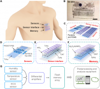 碳纳米管材料在柔性集成电路领域的优势和应用